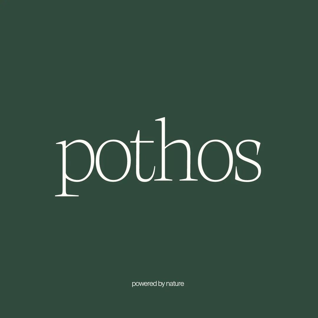 pothos_charcuterie